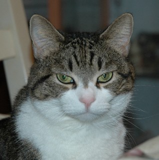 DSC_0001 Small Web view.jpg